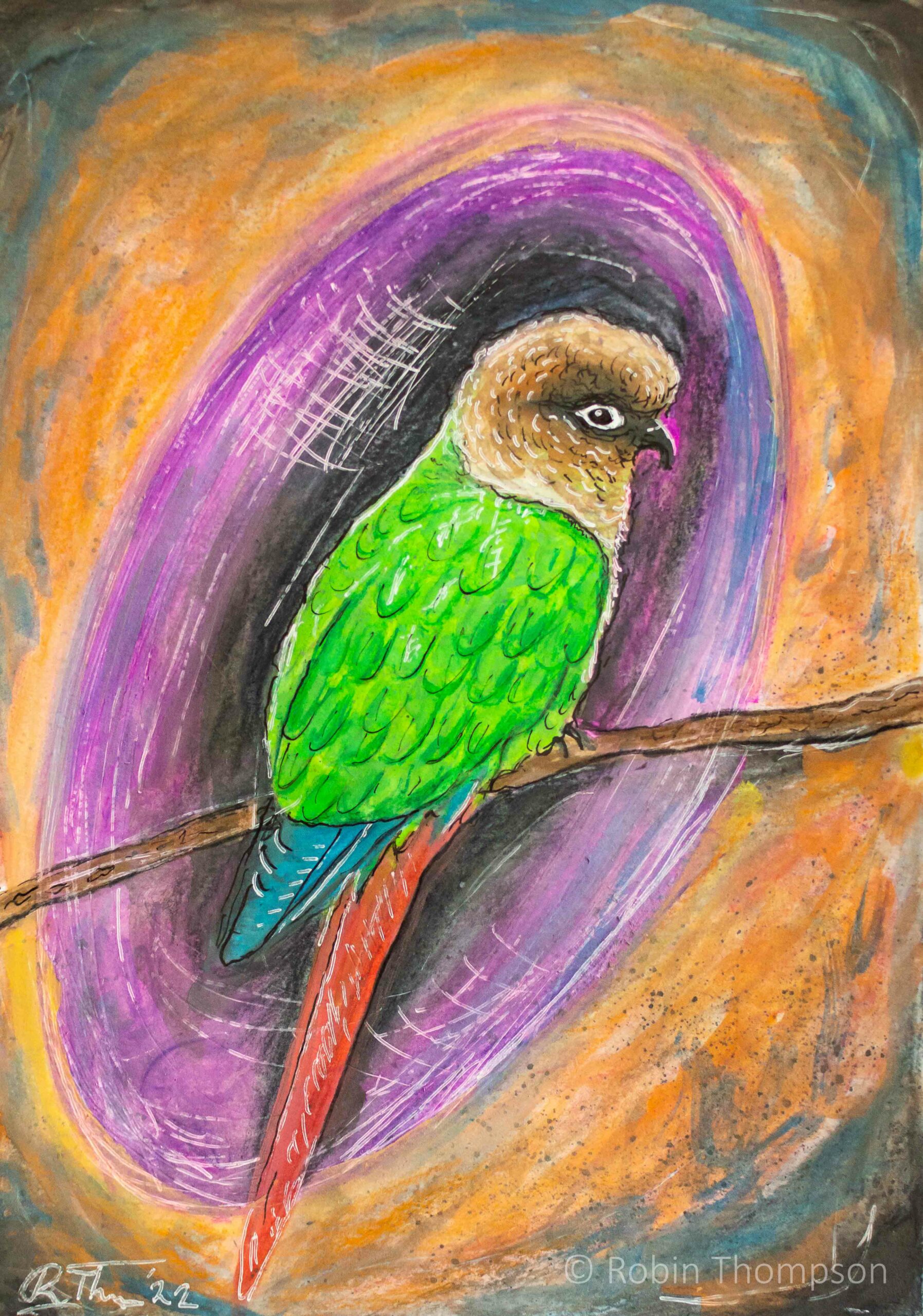 Watercolour and pencil drawing of a red, green and blue conure parrot/parakeet bird, The background is colourful and abstract, which adds a sense of playful mystery to the composition.
